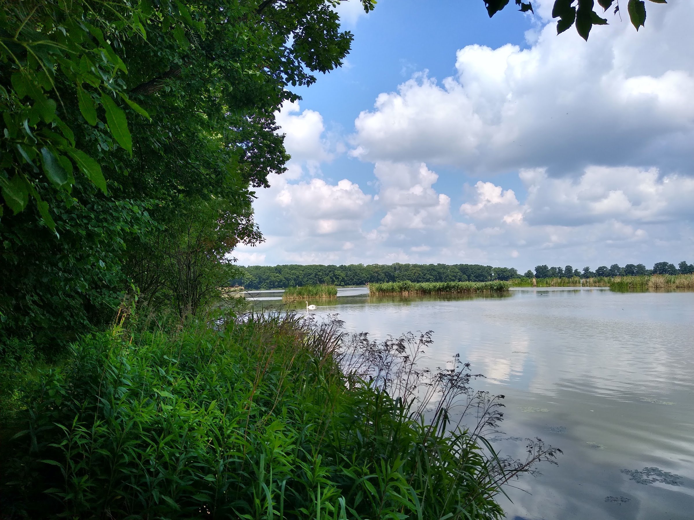 Nature reserve Łężczok